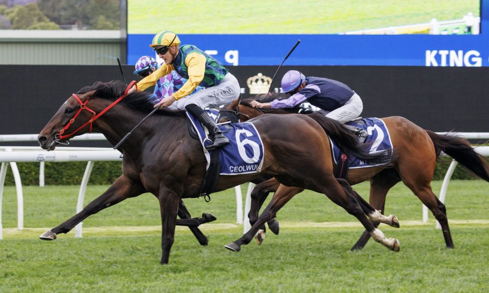 江苏队以及 江苏队以及